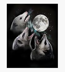 3 Opossum Moon Photographic Print