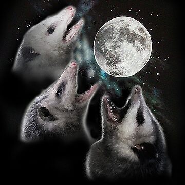 Artwork thumbnail, 3 Opossum Moon by evilkidart