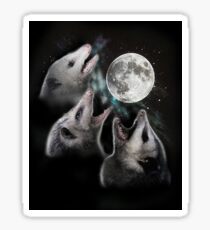 3 Opossum Moon Sticker