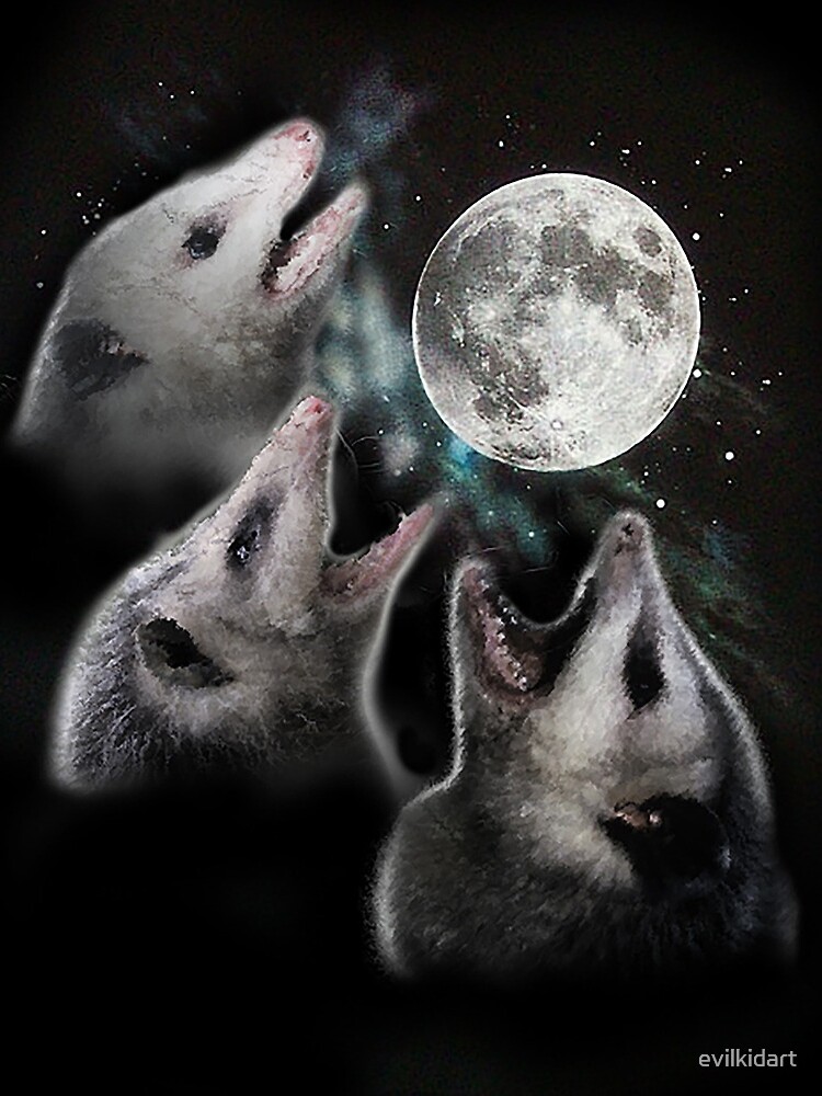 Thumbnail 3 of 3, Drawstring Bag, 3 Opossum Moon designed and sold by evilkidart.