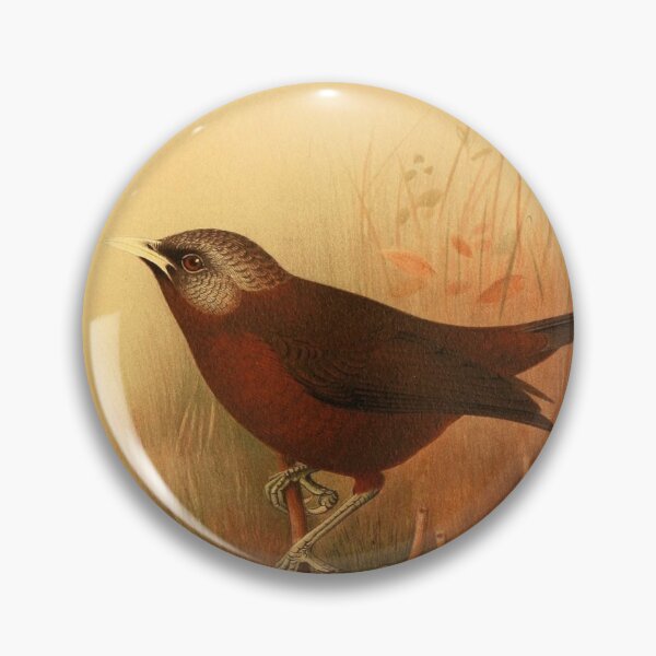 Item preview, Common Bristlebill And His Friend designed and sold by laguitan10.