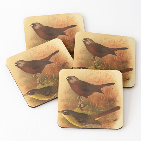 Item preview, Common Bristlebill And His Friend designed and sold by laguitan10.