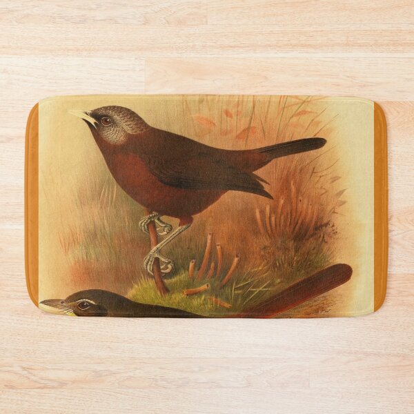 Item preview, Common Bristlebill And His Friend designed and sold by laguitan10.