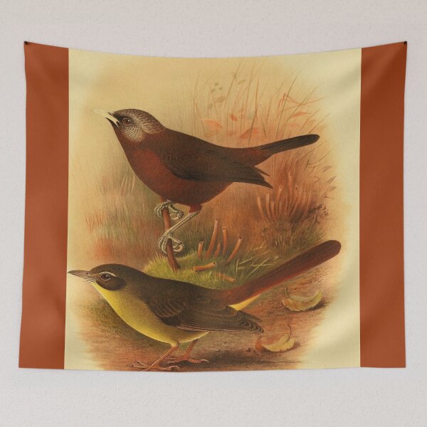 Item preview, Common Bristlebill And His Friend designed and sold by laguitan10.