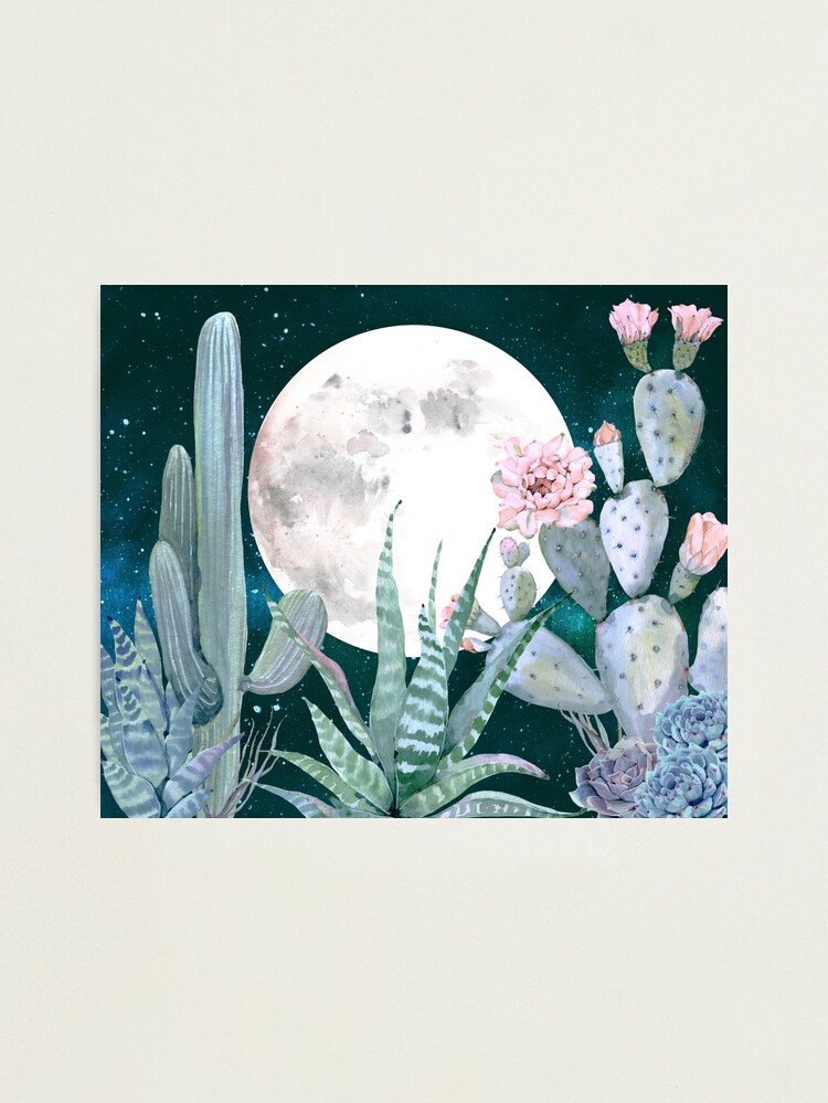 Alternate view of Cactus Nights Pretty Pink and Blue Desert Stars Cacti Illustration Photographic Print