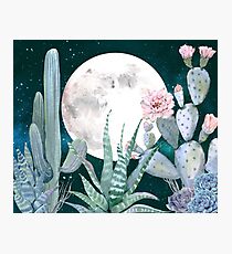 Kaktus-Nacht-hübsche rosa und blaue Wüsten-Stern-Kaktus-Illustration Fotodruck