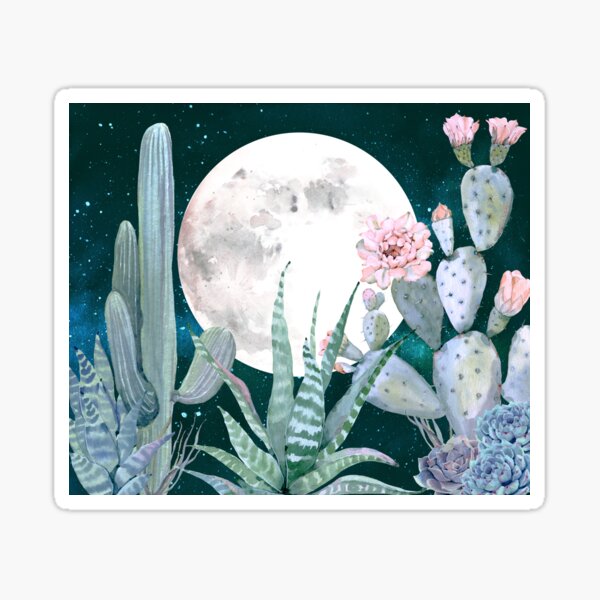 Artikel-Vorschau von Kaktus-Nächte Hübsche rosa und blaue Wüstensterne Kakteen-Illustration, designt und verkauft von DesertDecor.