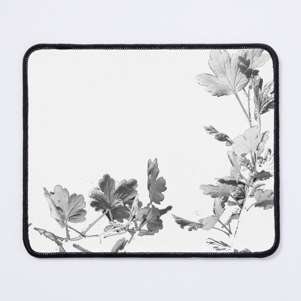 Item preview, Blackcurrant branch on white background designed and sold by riku05830.