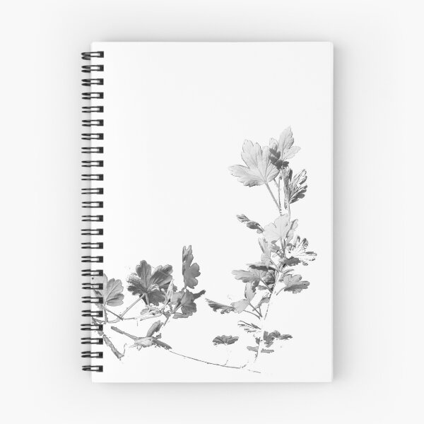 Item preview, Blackcurrant branch on white background designed and sold by riku05830.