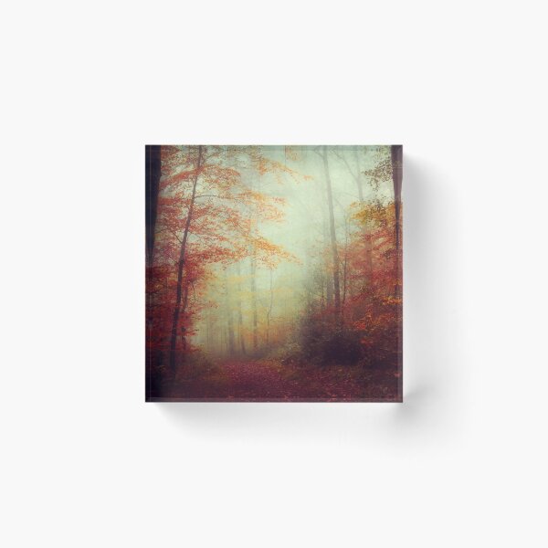Item preview, Dreamy Forest Hike in Autumn designed and sold by Dyrk Wyst Redbubble Shop.