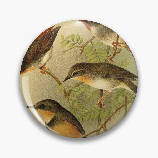 Item preview, The Red Bird And His Mates designed and sold by laguitan10.