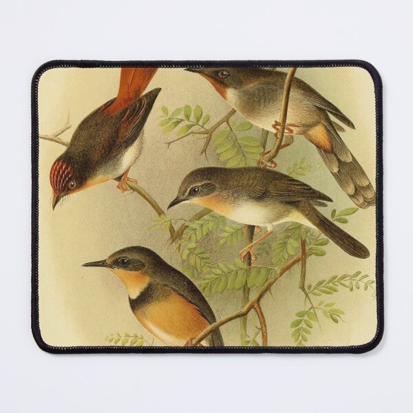 Item preview, The Red Bird And His Mates designed and sold by laguitan10.