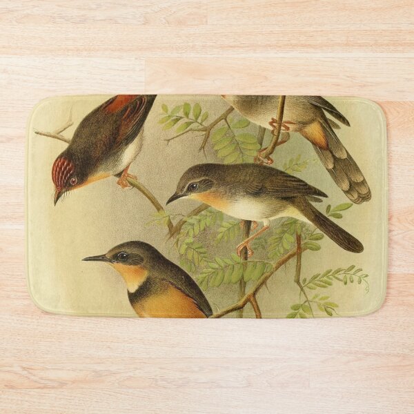 Item preview, The Red Bird And His Mates designed and sold by laguitan10.
