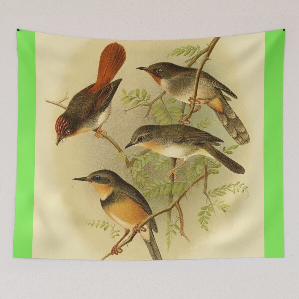 Item preview, The Red Bird And His Mates designed and sold by laguitan10.