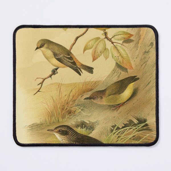 Item preview, Lemon Belied Crombec And Yellowfish Pipit designed and sold by laguitan10.