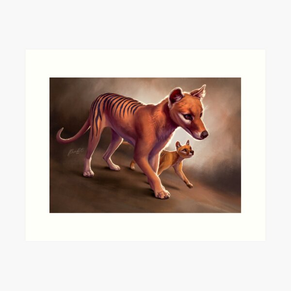Thylacine Stroll Art Print