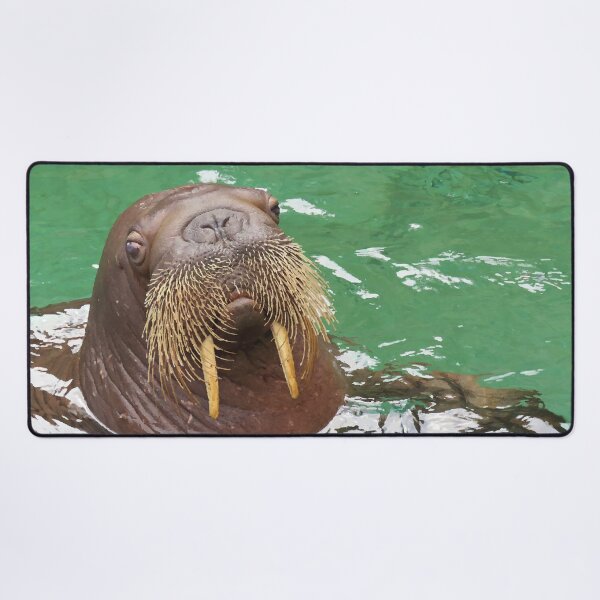 Item preview, Walrus Whiskers designed and sold by Linda Walsh.