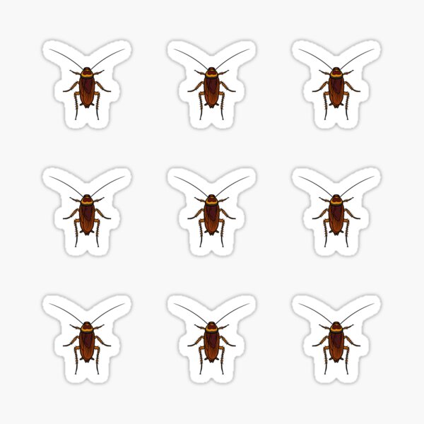 "cockroach sticker pack" Sticker for Sale by stickerspacks Redbubble