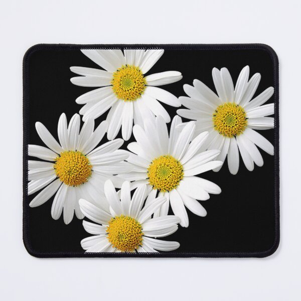 Item preview, DAISIES IN FULL BLOOM designed and sold by CRINGEWORTHY TEES.