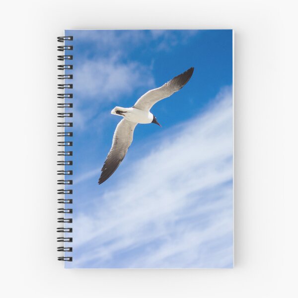 Item preview, Seagull Soaring in Blue Sky designed and sold by Jaydee001.