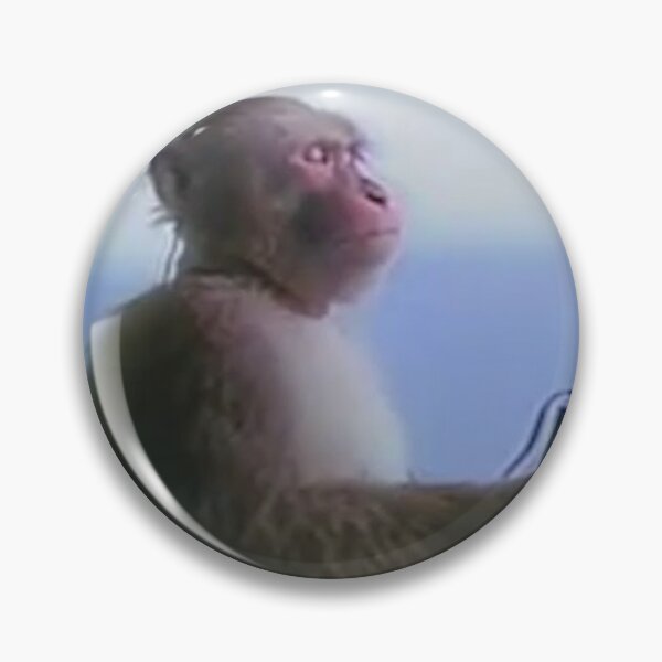 Monkey With a Walkman Gif