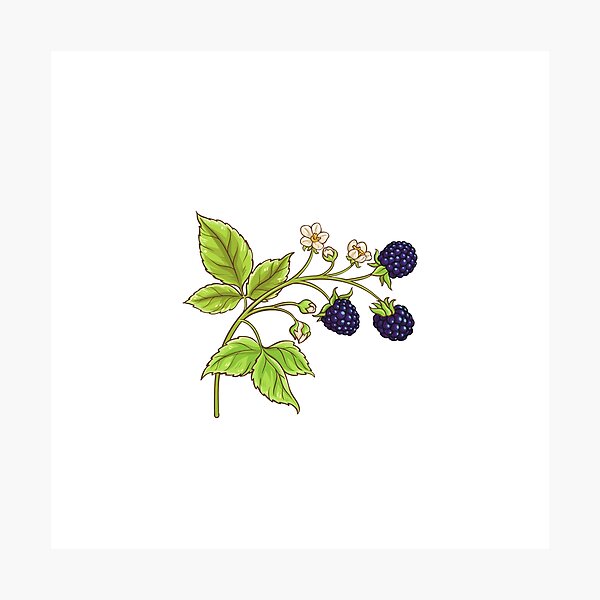 Item preview, Brambly Hedge Classic T-shirt designed and sold by Jutec1.
