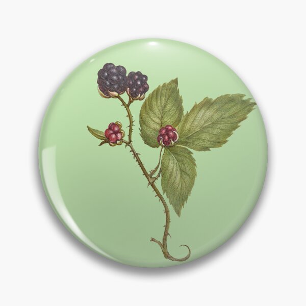 Item preview, Brambly Hedge Classic T-shirt designed and sold by Jutec1.