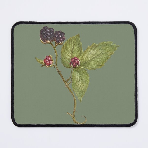 Item preview, Brambly Hedge Classic T-shirt designed and sold by Jutec1.