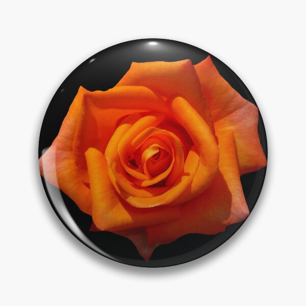 Item preview, ORANGE ROSE IN BLOOM designed and sold by CRINGEWORTHY TEES.