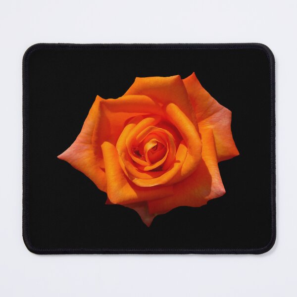 Item preview, ORANGE ROSE IN BLOOM designed and sold by CRINGEWORTHY TEES.