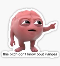 this bitch don't know bout pangea Sticker