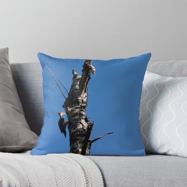 Item preview, Alberta
Foto tomada por Amanda Nichols
(100-5057) designed and sold by CaptureRadiance.
