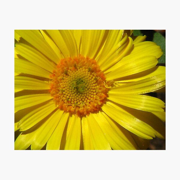Item preview, Yellow designed and sold by jenial.