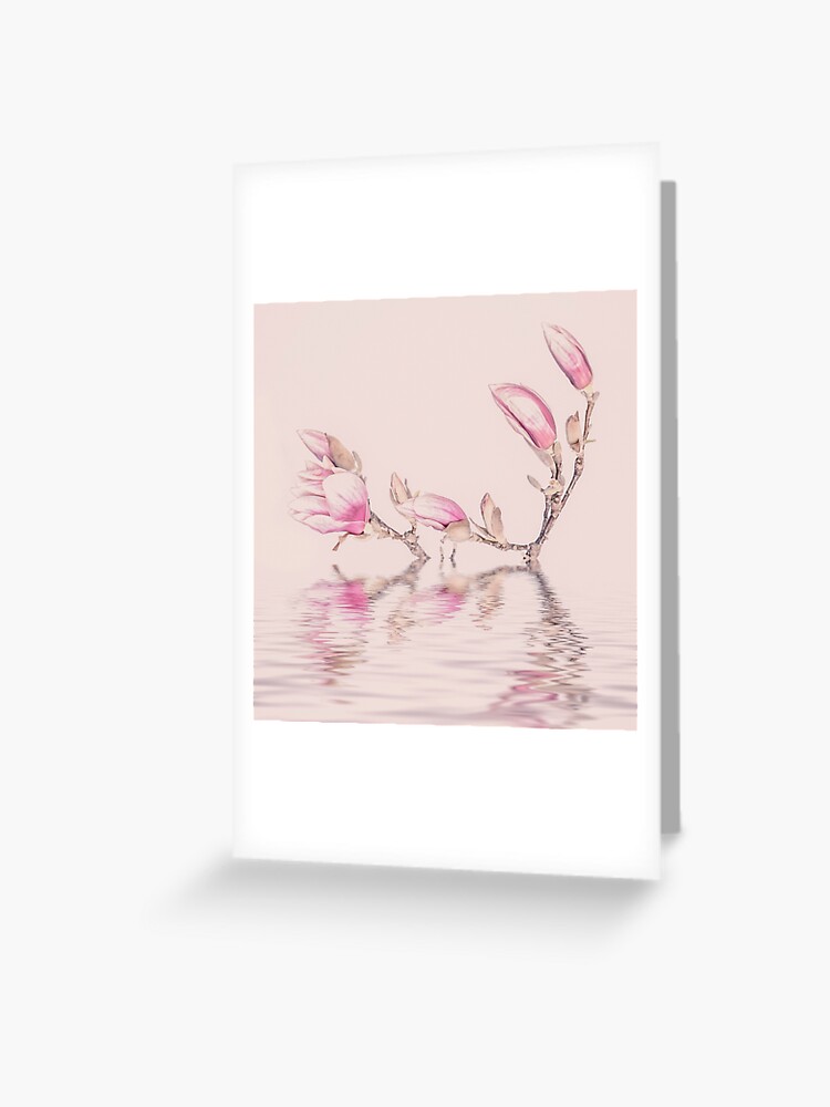 Tarjetas de felicitación «Flores de Magnolia rosa suave y reflejo de agua»  de artsandsoul | Redbubble