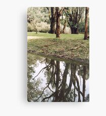 On reflection... Canvas Print
