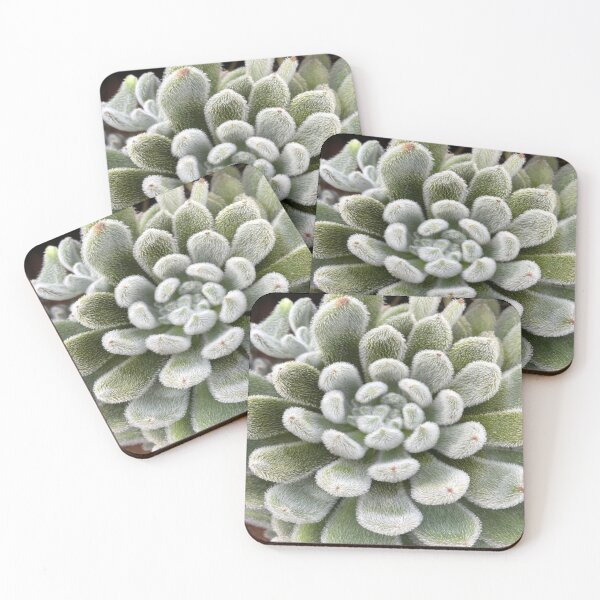 Item preview, Green Fluffy Succulent Plant designed and sold by lets-travel.