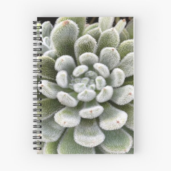 Item preview, Green Fluffy Succulent Plant designed and sold by lets-travel.