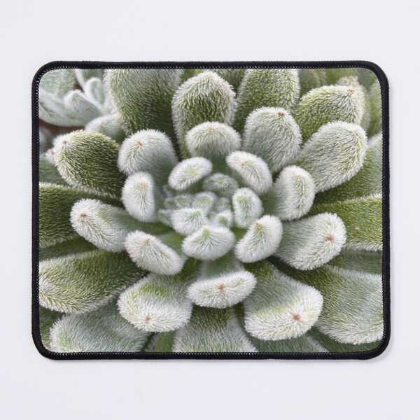 Item preview, Green Fluffy Succulent Plant designed and sold by lets-travel.