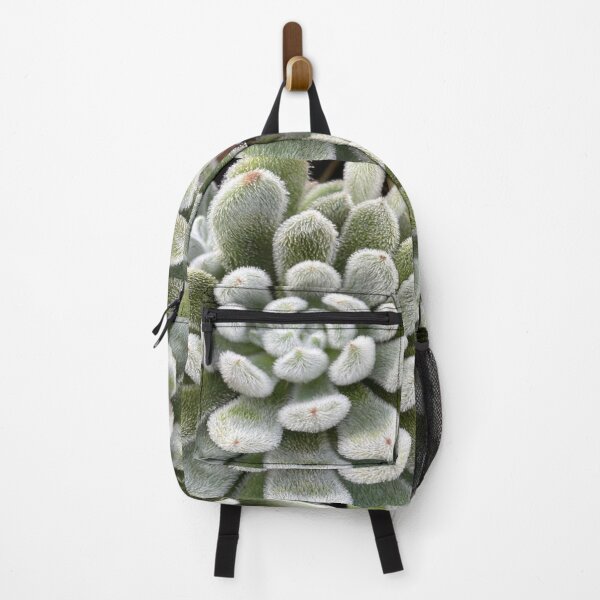 Item preview, Green Fluffy Succulent Plant designed and sold by lets-travel.