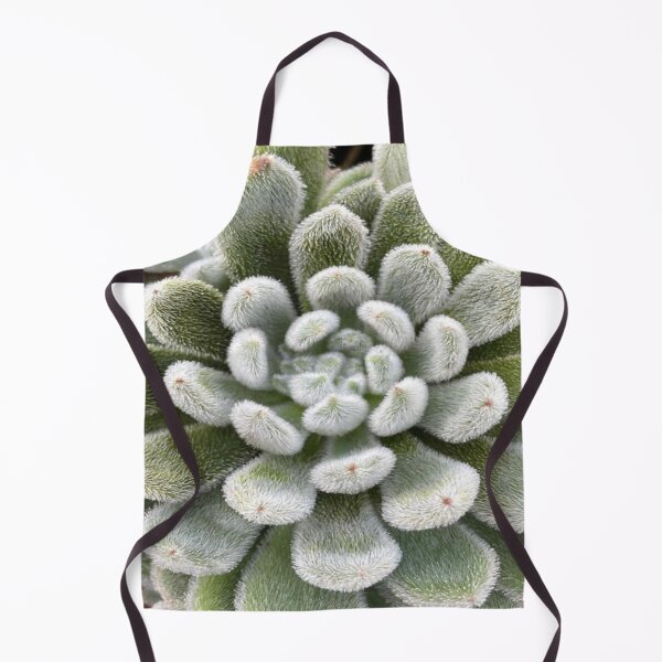 Item preview, Green Fluffy Succulent Plant designed and sold by lets-travel.
