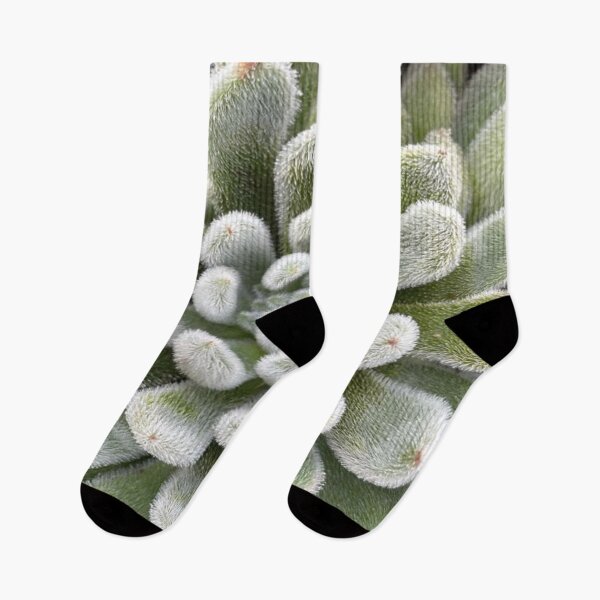 Item preview, Green Fluffy Succulent Plant designed and sold by lets-travel.