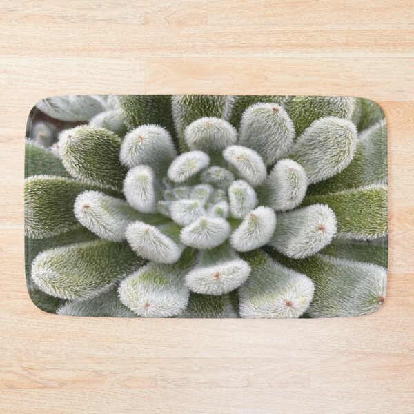 Item preview, Green Fluffy Succulent Plant designed and sold by lets-travel.