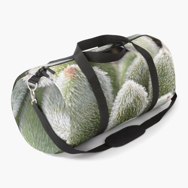 Item preview, Green Fluffy Succulent Plant designed and sold by lets-travel.