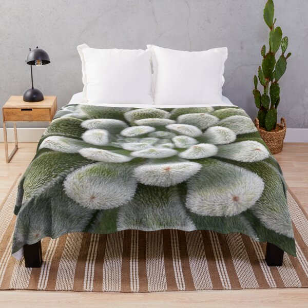 Item preview, Green Fluffy Succulent Plant designed and sold by lets-travel.