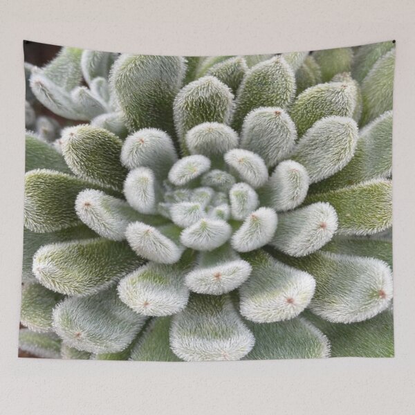 Item preview, Green Fluffy Succulent Plant designed and sold by lets-travel.