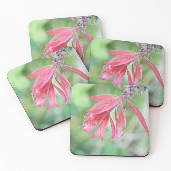 Item preview, Beaut Bracts designed and sold by KazM.