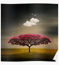 Medusa Wolke Poster