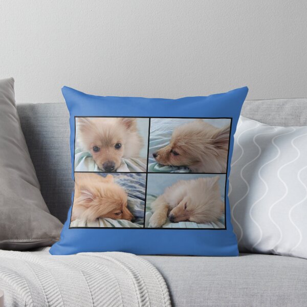 Item preview, Faces of Innocence designed and sold by IrishEyesMrsZ.