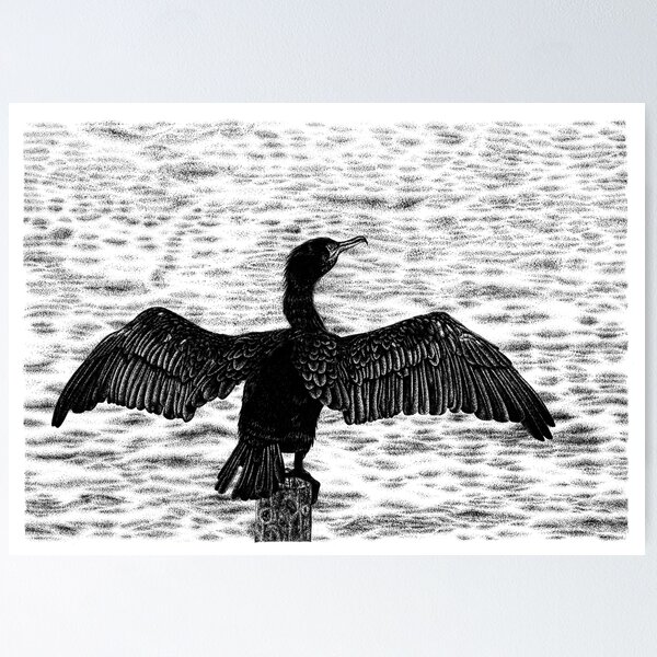 Item preview, Great cormorant designed and sold by LorenDowding.