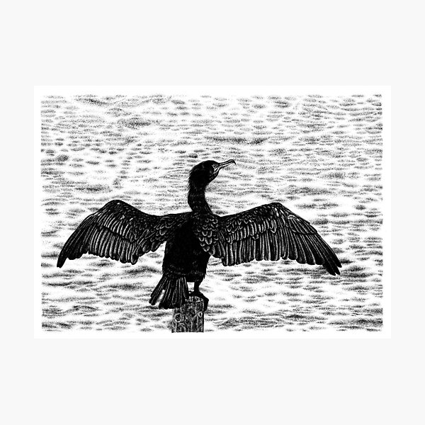 Artikelvorschau, Großer Kormoran entworfen und verkauft von LorenDowding.